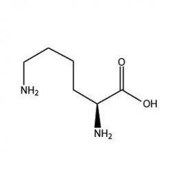 L-Lysine