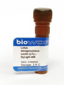 Lotus tetragonolobus Lectin (LTL) - DyLight 488