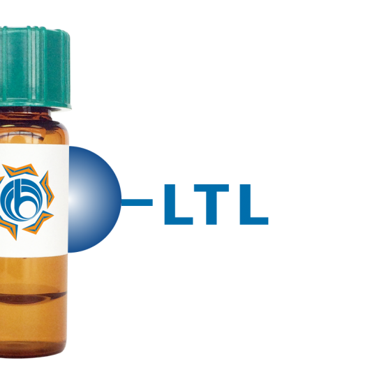 Lotus tetragonolobus Lectin (LTL) - Separopore&reg; 4B