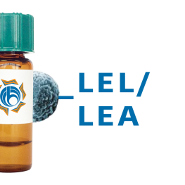Lycopersicon esculentum Lectin (LEL/LEA) - MagneZoom&trade;