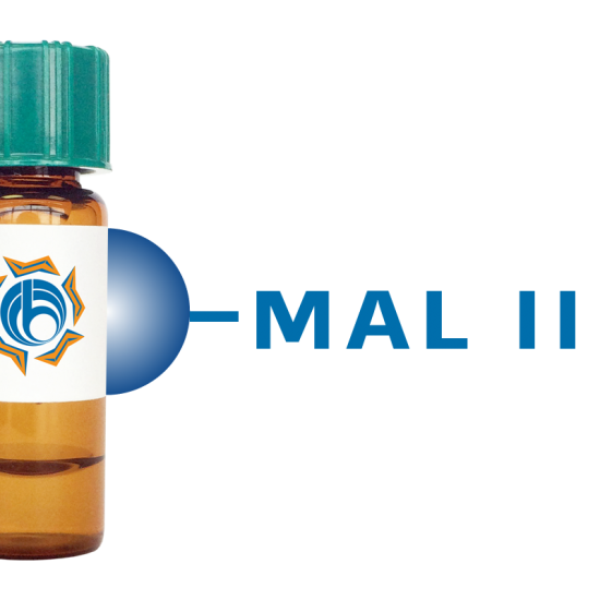 Maackia amurensis Lectin (MAA/MAL II) - Separopore&reg; 4B