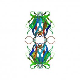 Maclura pomifera Lectin (MPL/MPA) - Semi-Pure