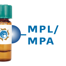 Maclura pomifera Lectin (MPL/MPA) - Separopore&reg; 4B