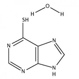 6-Mercaptopurine Monohydrate 6-Mercaptopurine Monohydrate