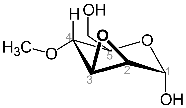 Methyl &alpha;-D-mannopyranoside Separopore&reg; 4B