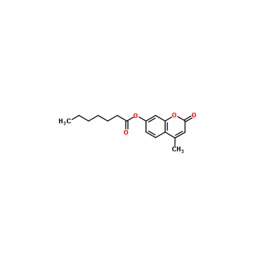 4-Methylumbelliferyl Heptanoate