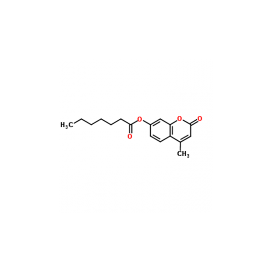 4-Methylumbelliferyl Heptanoate