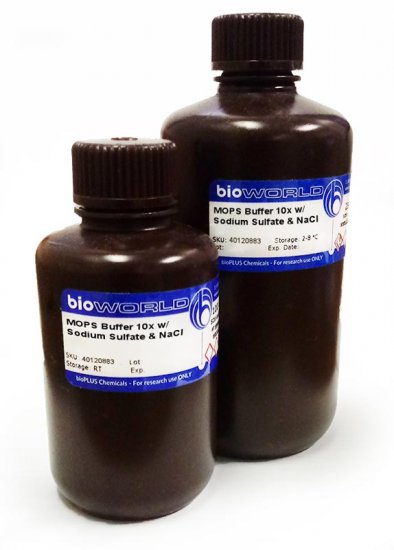 MOPS Buffer 10X with Sodium Sulfite and NaCl