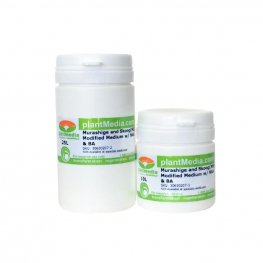Murashige and Skoog (MS) Medium w/ Vitamins, Sucrose, NAA, & BA