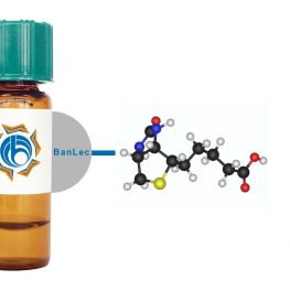 Musa paradisiaca Lectin (BanLec) - Biotinylated