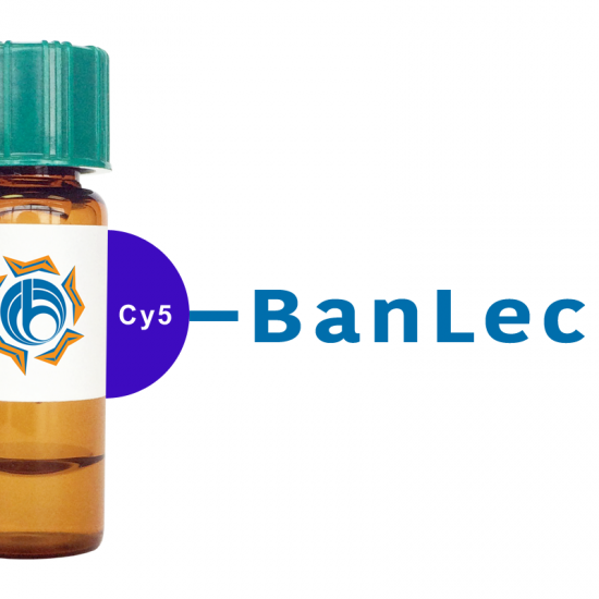 Musa paradisiaca Lectin (BanLec) - Cy5