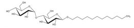 n-Dodecyl-&beta;-D-Maltopyranoside