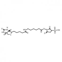 NHS-Biotin LC