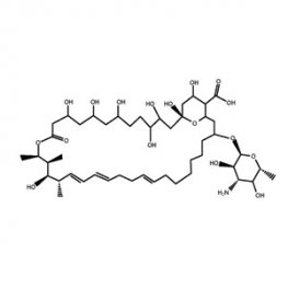 Nystatin Solution, 5mg/mL in DMSO