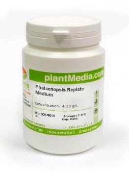 Phalaenopsis Replate Medium