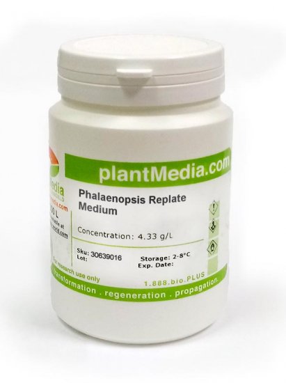 Phalaenopsis Replate Medium