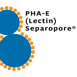 Phaseolus vulgaris Lectin (PHA-E) - Macrobeads