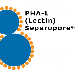 Phaseolus vulgaris Lectin (PHA-L) - Macrobeads