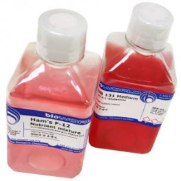 Plasmid DNA Isolation Solution I