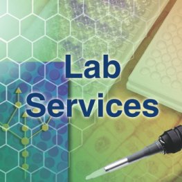Plasmid DNA Isolation Solution II
