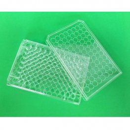 Poly-L-Arginine Coated Microplates