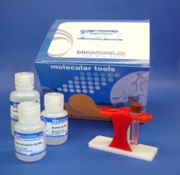 Protein G MagneZoom&trade; (Paramagnetic Beads) Kit