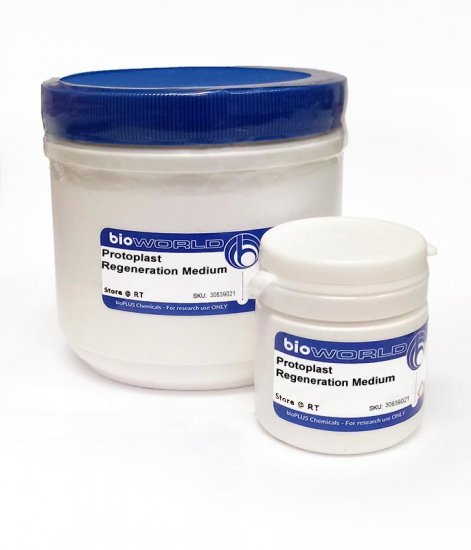 Protoplast Regeneration Medium