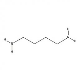 Putrescine Dihydrochloride