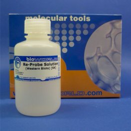 Re-Probe Solution for Western Blots