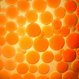 Reactive Red Separopore&reg; 4B-CL
