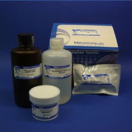 RNA Electrophoresis Kit