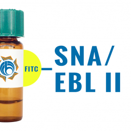 Sambucus nigra Lectin (SNA/EBL II) - FITC (Fluorescein)