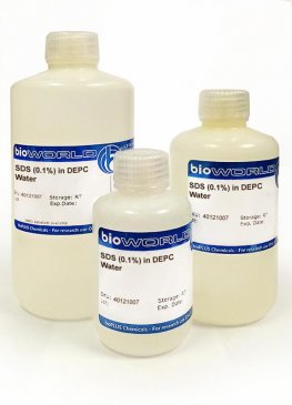 SDS (0.1%) in DEPC Water