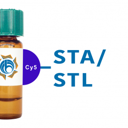Solanum tuberosum Lectin (STA/STL) - Cy5