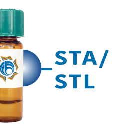 Solanum tuberosum Lectin (STA/STL) - Separopore&reg; 4B