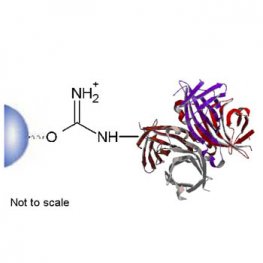 Streptavidin Separopore&reg; 4B