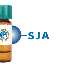 Styphnolobium japonicum Lectin (SJA) - Separopore&reg; 4B