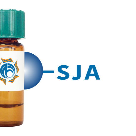 Styphnolobium japonicum Lectin (SJA) - Separopore&reg; 4B