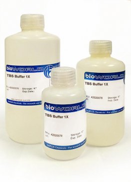 TBS Buffer 1X, pH 7.4