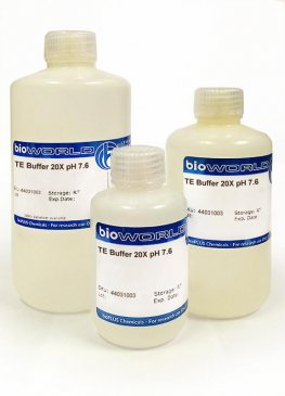 TE Buffer 20X pH 7.6