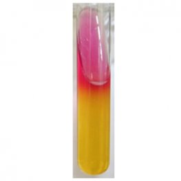 Triple Sugar Iron (TSI) Agar
