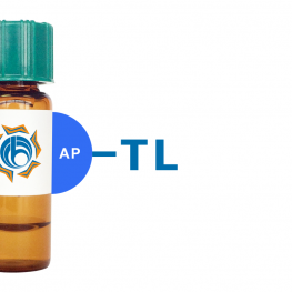 Tulip sp. Lectin I (TL I) - AP (Alkaline Phosphatase)