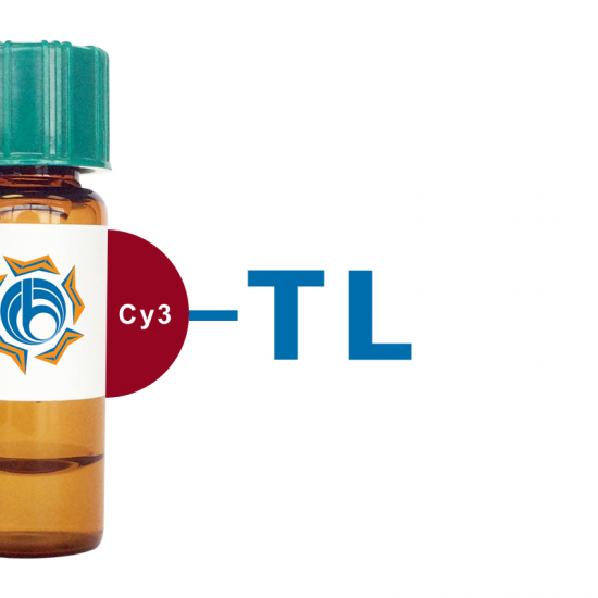 Tulip sp. Lectin I (TL I) - Cy3