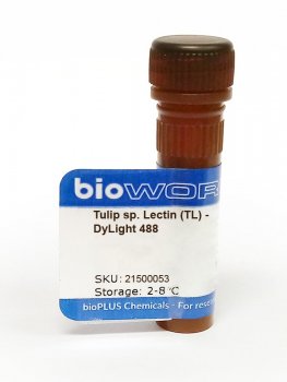 Tulip sp. Lectin I (TL I) - DyLight 488