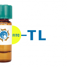 Tulip sp. Lectin I (TL I) - FITC (Fluorescein)