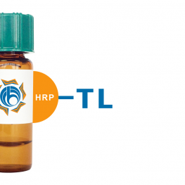 Tulip sp. Lectin I (TL I) - HRP (Horseradish Peroxidase)