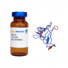 Tulip sp. Lectin I (TL I) - Pure