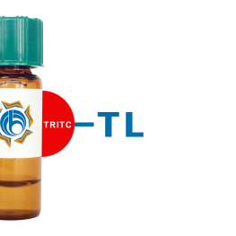 Tulip sp. Lectin I (TL I) - TRITC (Rhodamine)