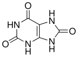 Uric Acid