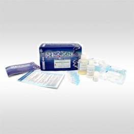 Urine-Based HIV RT-PCR Detection Kit